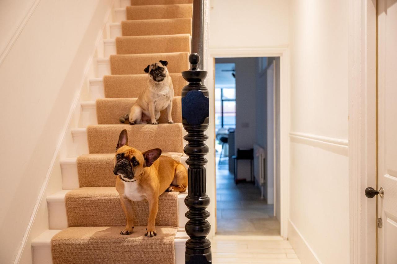 Bed & Breakfast Doghouse