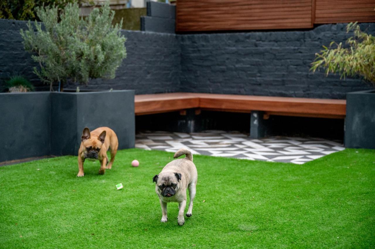 Doghouse * Margate